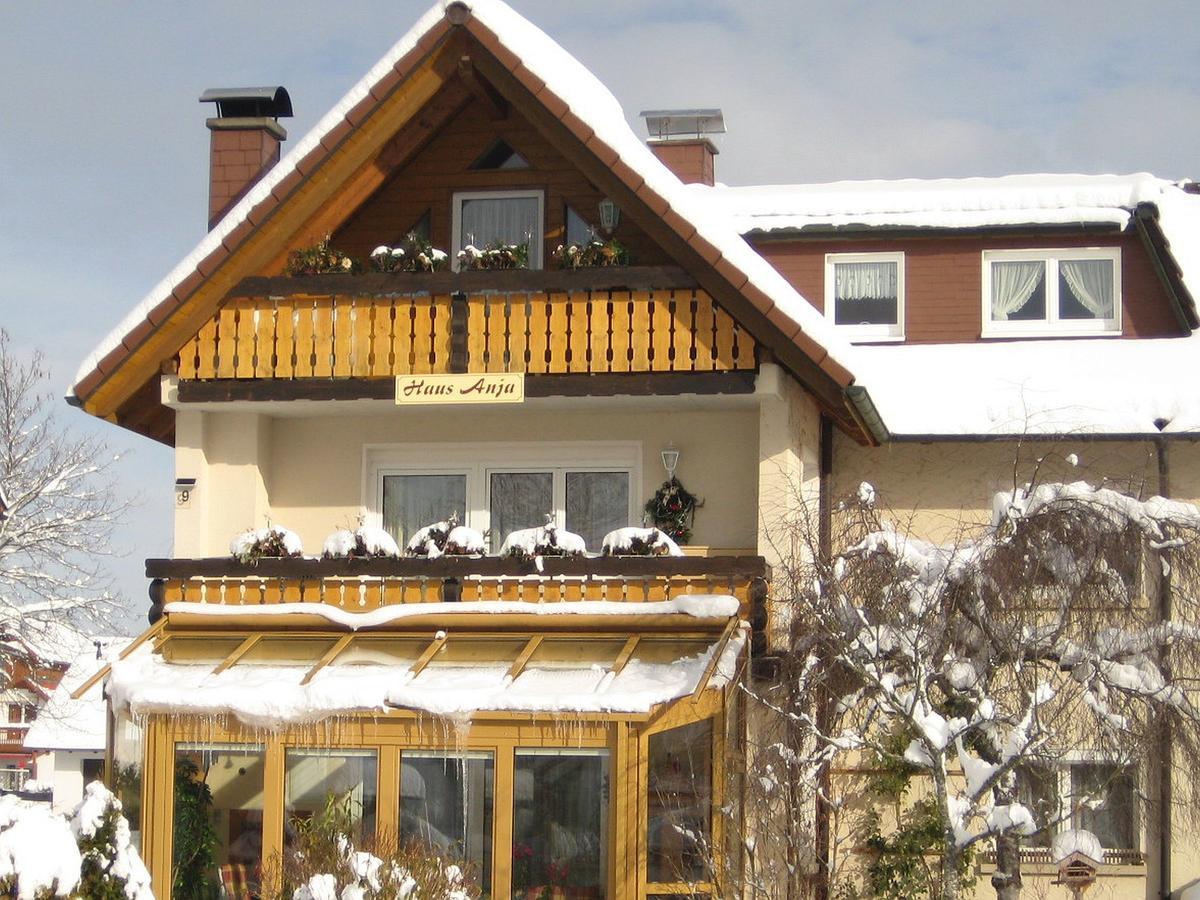 Apartamento Haus Anja Titisee-Neustadt Exterior foto